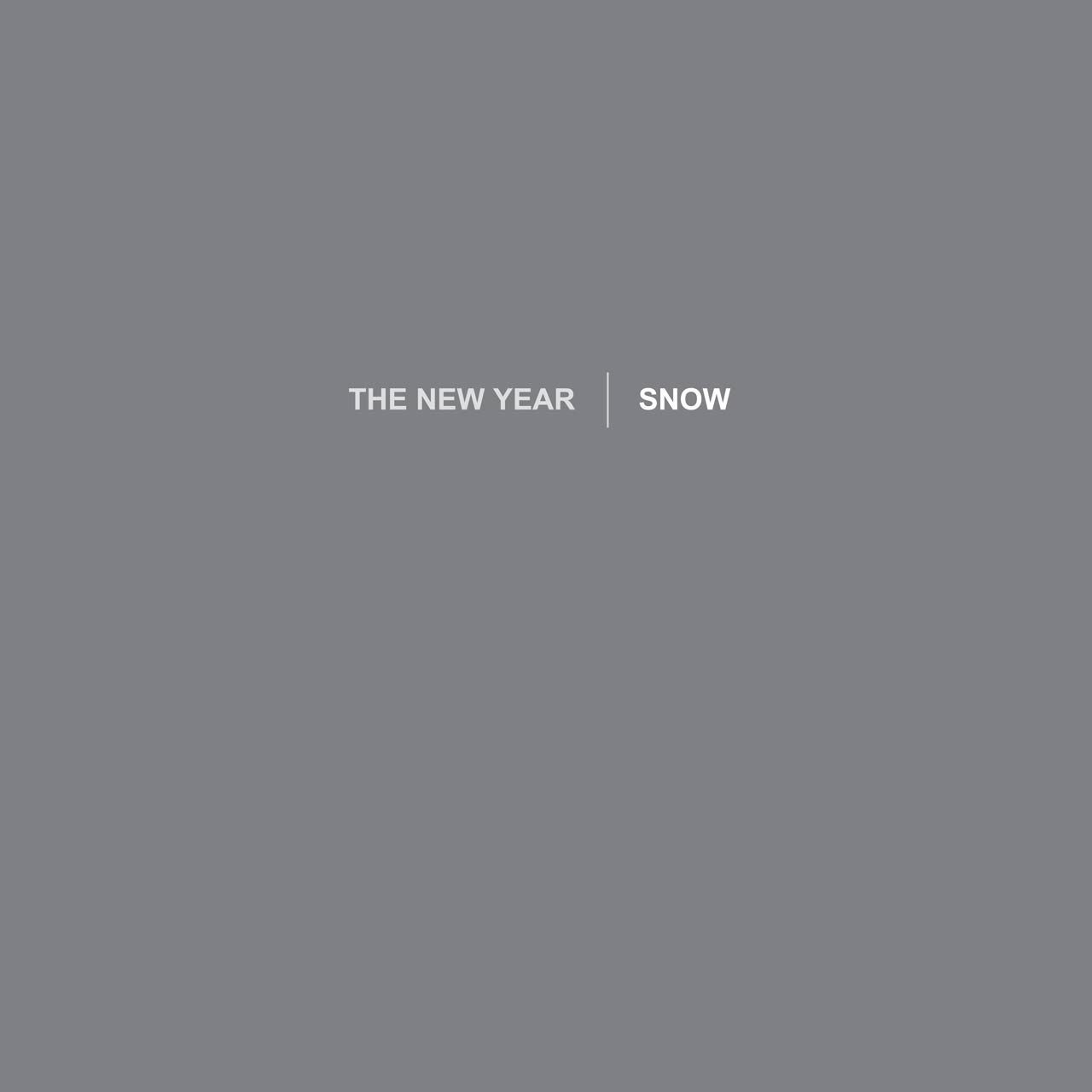 The New Year - Snow