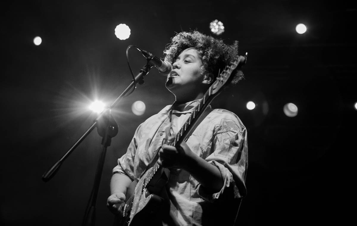 Sacred Paws live