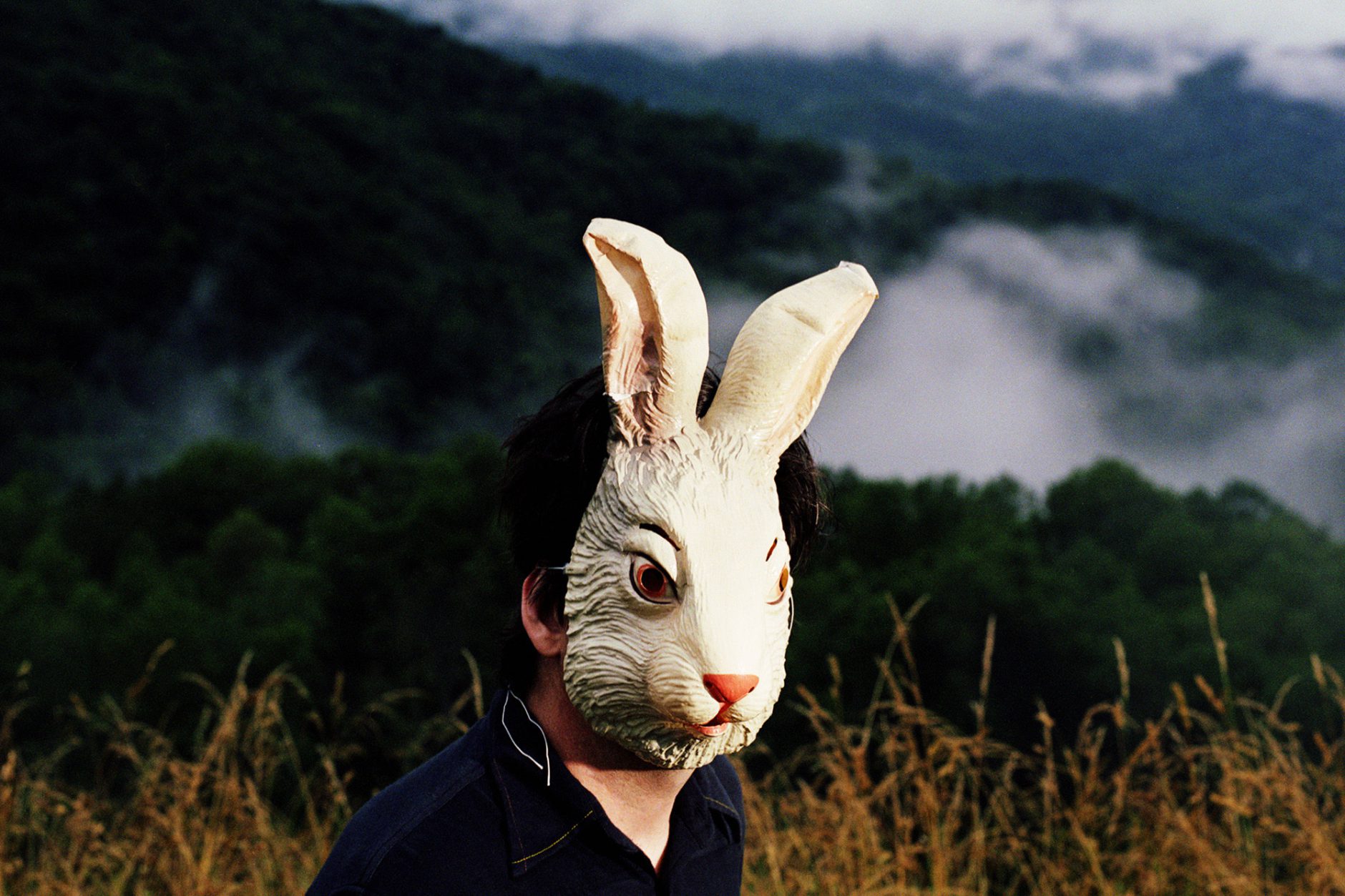 Sparklehorse - rabbit mask | Timothy Saccenti