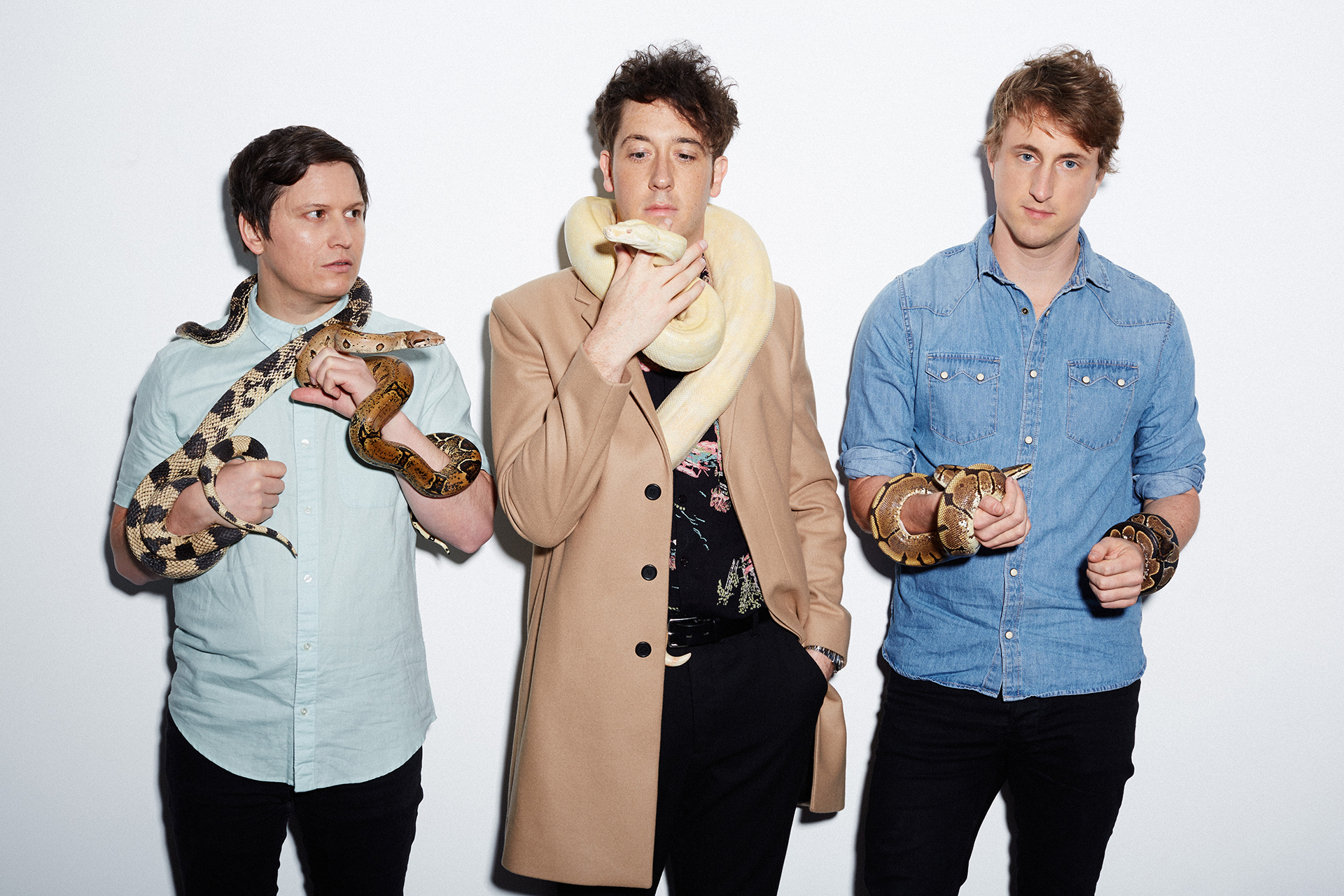 The Wombats - snakes