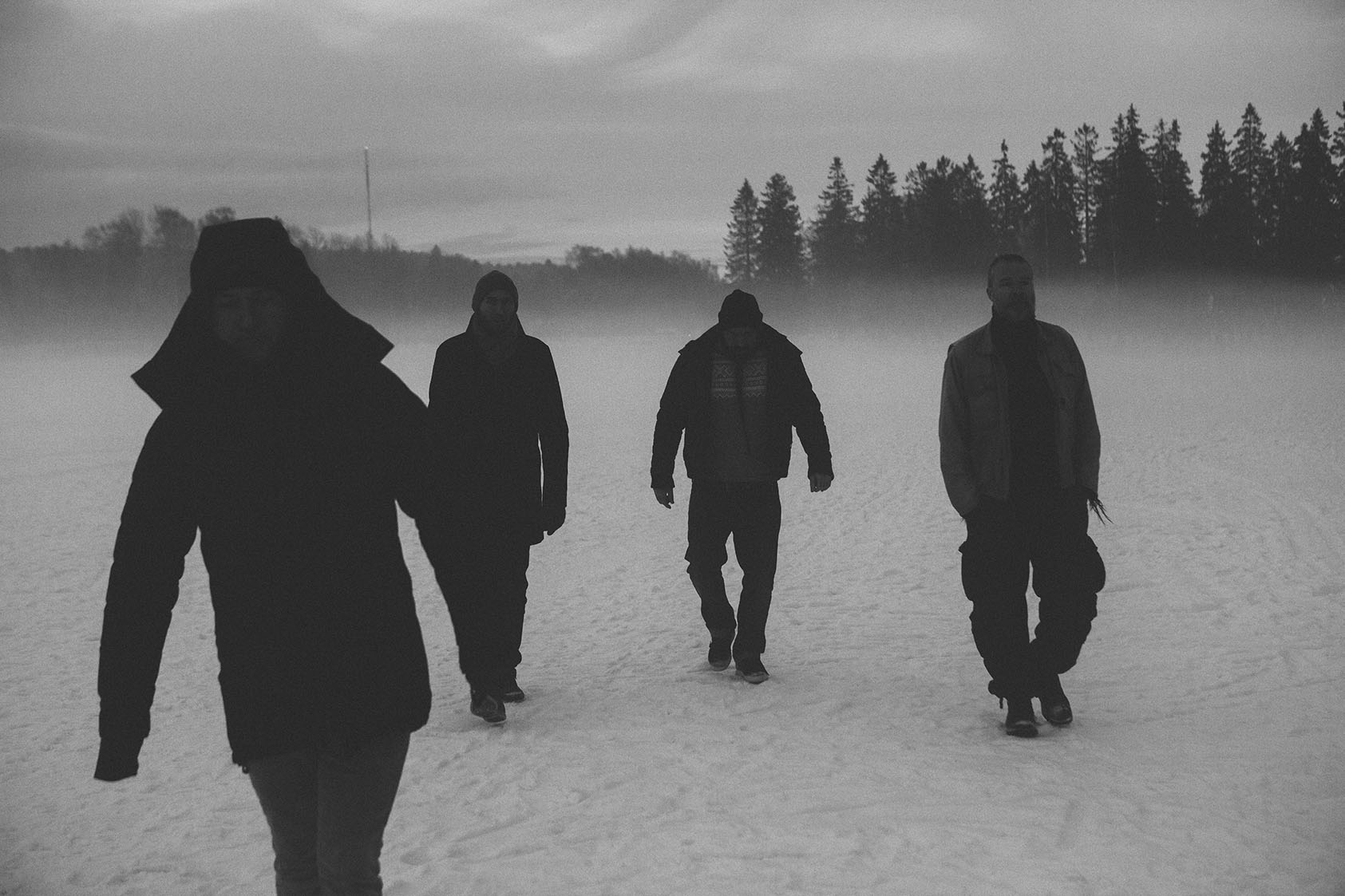 Ulver in the snow