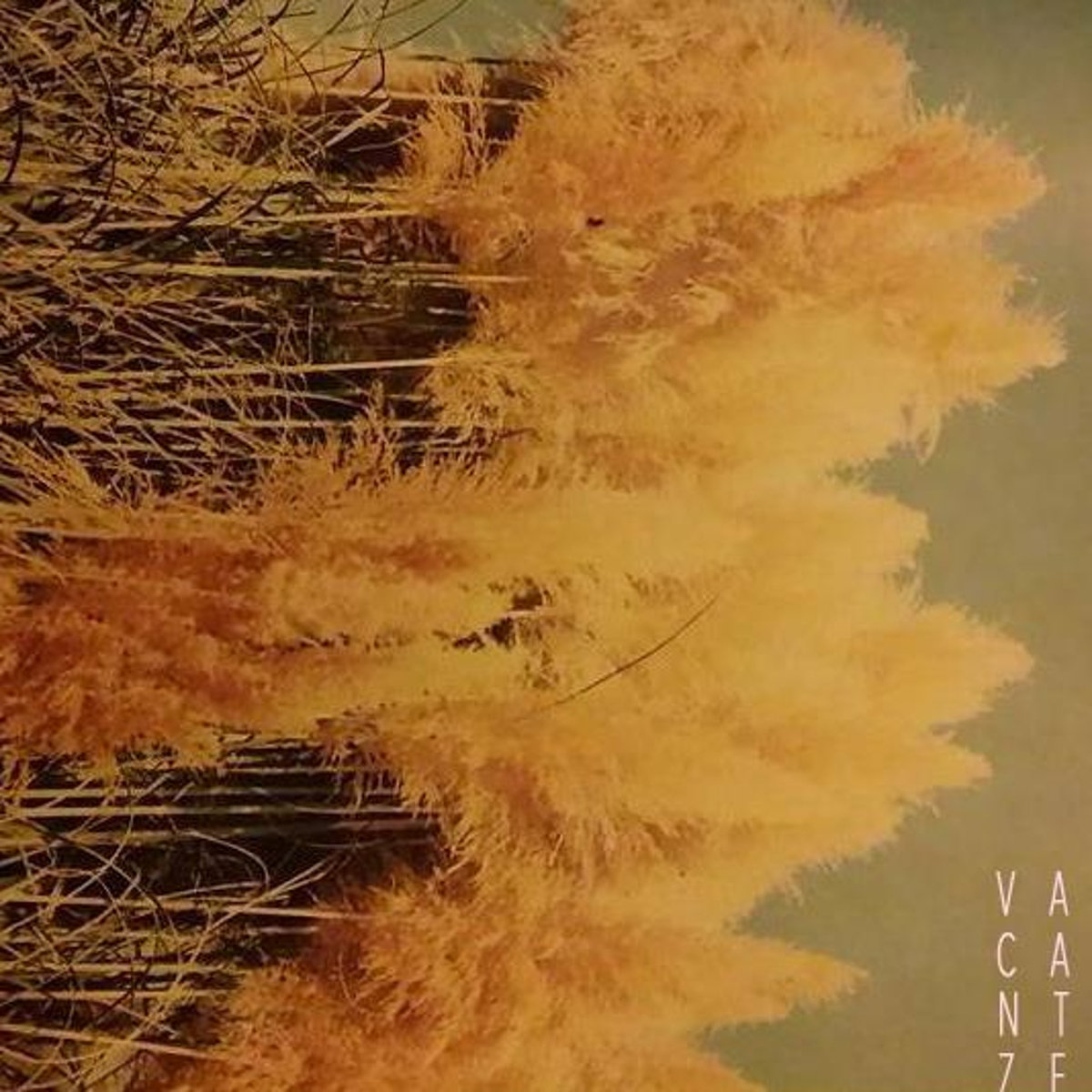 Vacantze - Vacantze