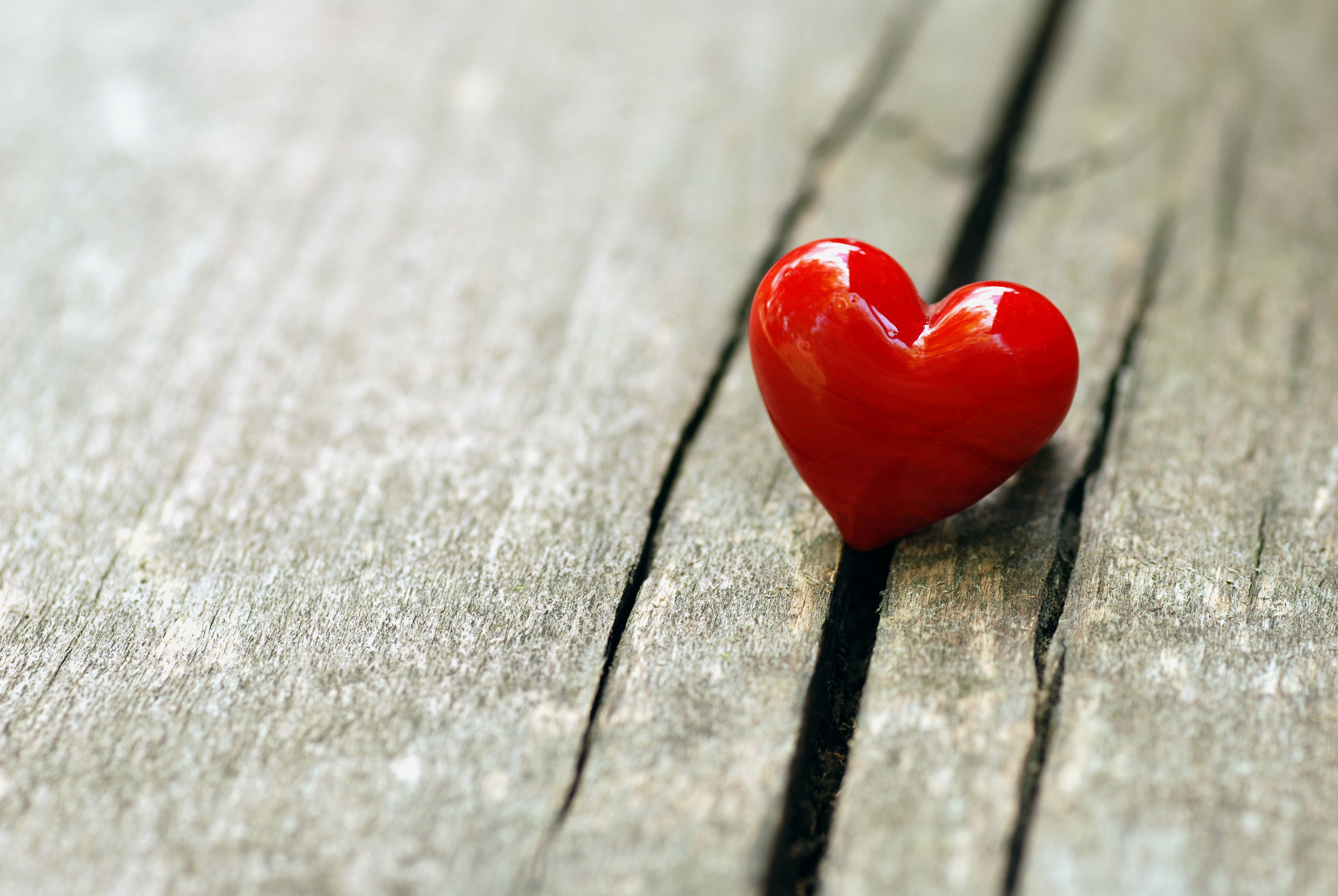 Sintetismi - L'amore ai Tempi della Crisi Economica
