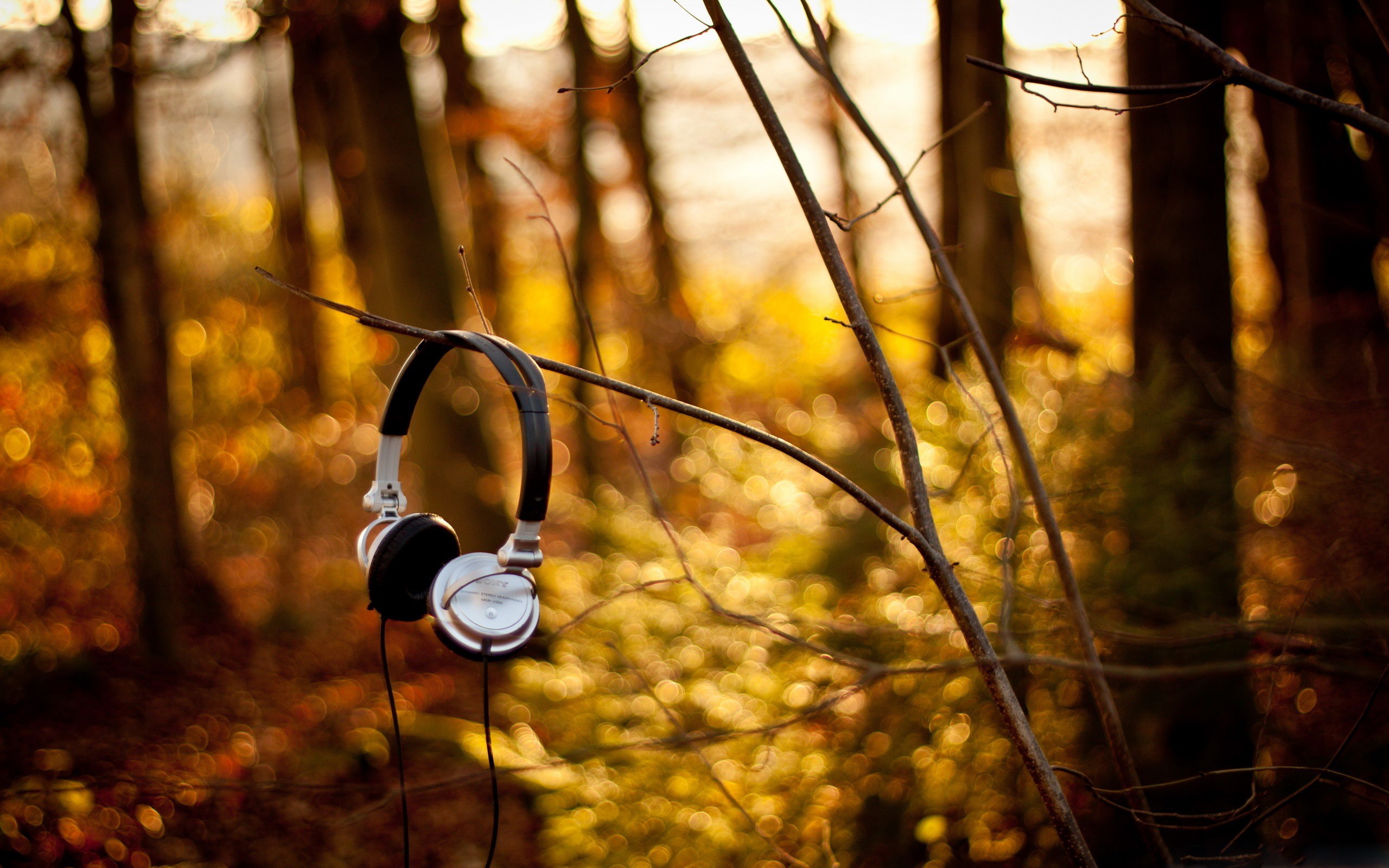 Playlist - le migliori canzoni del 2015