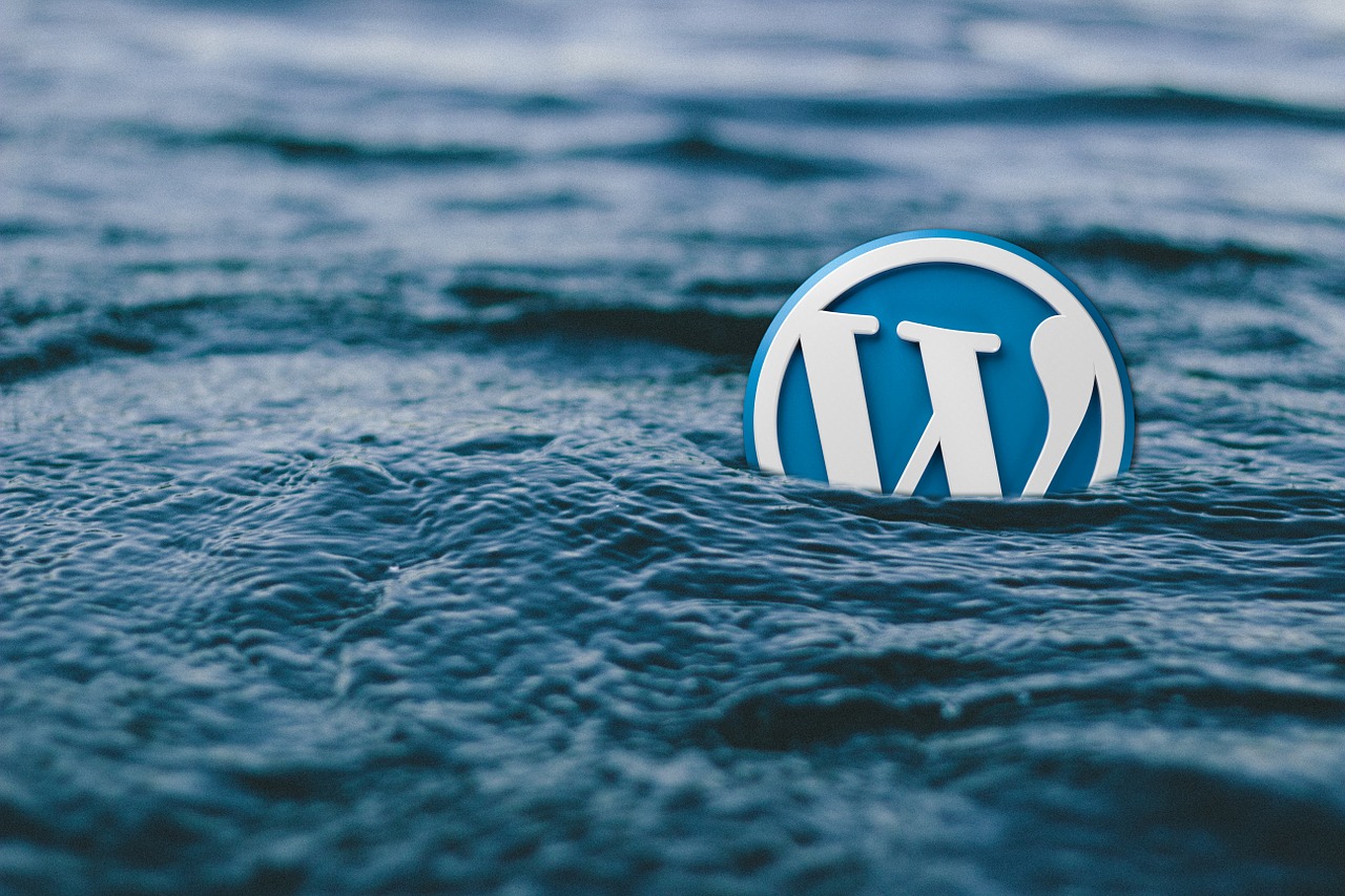 Sintetismi - La frenesia della vita moderna, Wordpress
